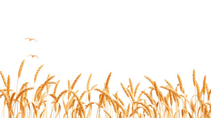 Flying grains wheat on white background. Generative AI