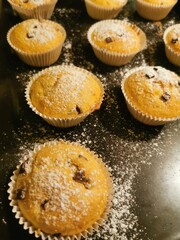 fresh chocolate muffins
