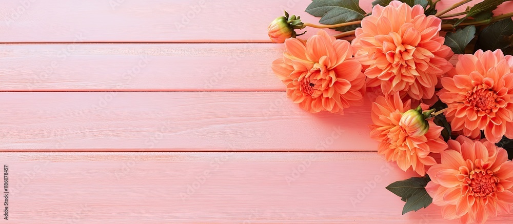 Poster flat lay arrangement featuring lovely orange dahlia flowers on a light pink wooden surface. with cop