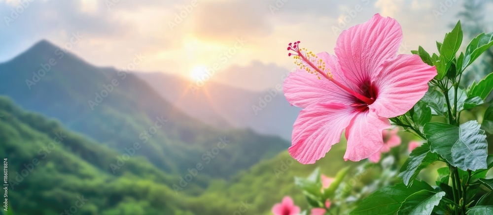 Poster pink hibiscus flower on the mountain soft focus. with copy space image. place for adding text or des