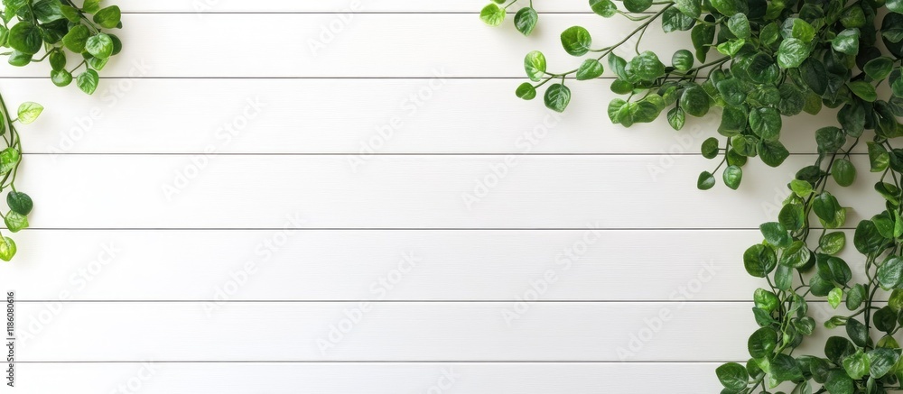 Poster Blank sign for a message on a wooden panel with a green plant the image is set against a white background. with copy space image. Place for adding text or design