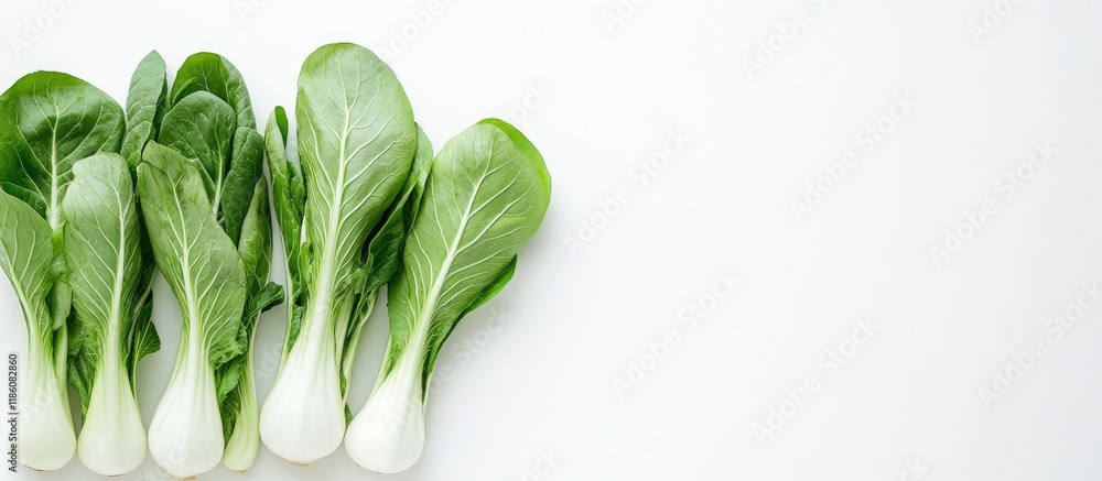 Poster pok choi against a white background. with copy space image. place for adding text or design