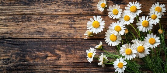 Obraz premium Beautiful spring chamomile blossoms Wildflowers Flat lay of spring and summer chamomile flowers on a textured wooden background The idea of gardening and plants Bouquet Area for text copy space
