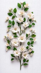 A photostock of delicate white flowers with visible petals and green stems, arranged symmetrically on a clean white background, fresh and elegant, High Quality