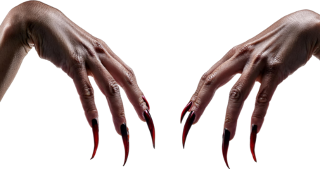 Dramatic close up of two hands with long sharp dark red nails transparent background