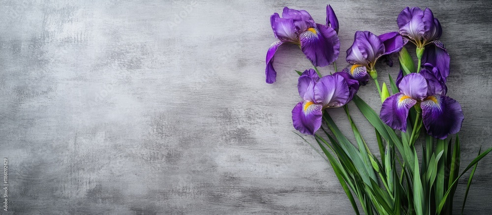 Fototapete bunch of irises on a plywood background in portrait orientation. with copy space image. place for ad