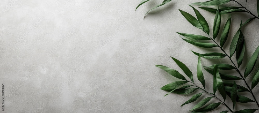 Fototapete texture of wallpaper. with copy space image. place for adding text or design
