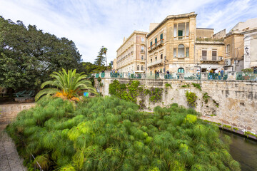 Fototapeta premium The Aretusa Fountain in Ortigia is also known as the Papyrus Fountain