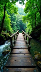 Wooden bridge spans across shallow river in rainforest, natural, river, water