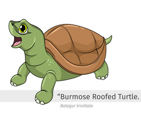 Burmese roofed turtle cartoon illustration