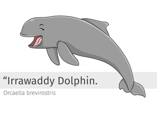 Irrawaddy Dolphin cartoon jump happily illustration 