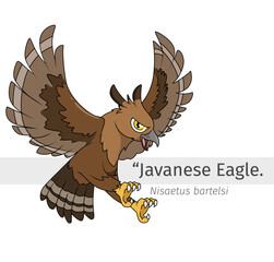 illustration of a cartoon Javanese eagle attacking