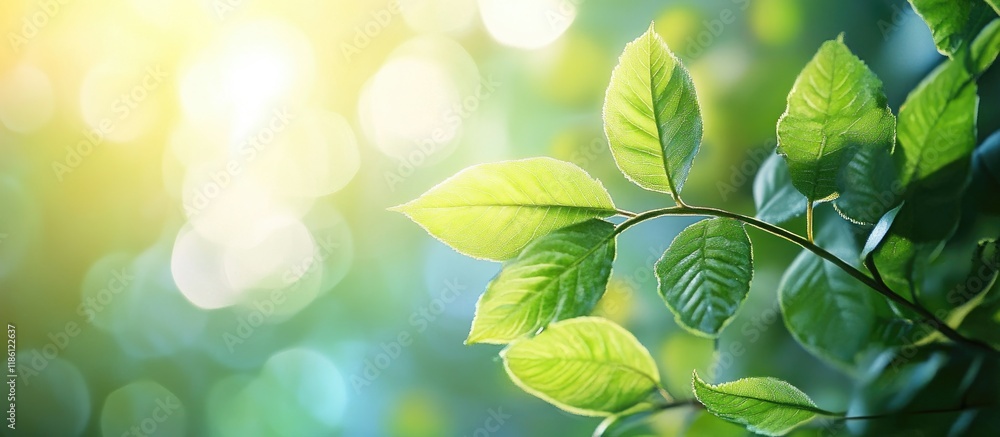 Poster close up of young leaves with a blurred background space for text. with copy space image. place for 