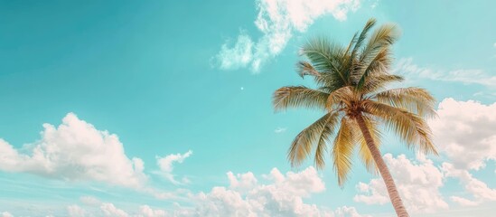 Summer at the beach with a palm tree under the blue sky and clouds Includes copy space Minimalist concept Pastel shades Blurred background