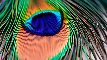 Fototapeta premium Peacock feather close up illustration. Generative AI