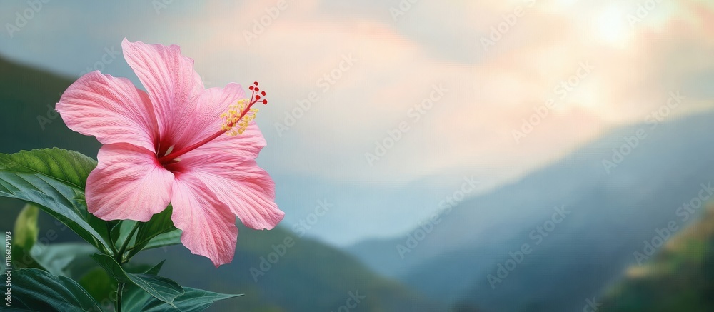 Poster pink hibiscus flower on the mountain soft focus. with copy space image. place for adding text or des