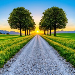 A photostock of a tranquil sunset over a quiet countryside road lined with tall trees and warm colors, High Quality