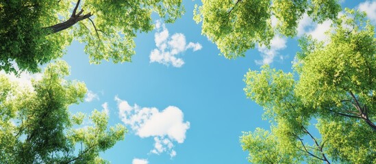 The early summer sky is blue. with copy space image. Place for adding text or design