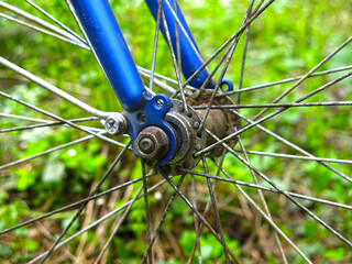 front wheel of a blue bicycle on a grass background