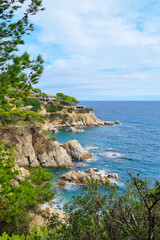 Coastal Cliffside View of Mediterranean Sea with Blue Waters and Lush Greenery