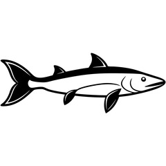 fish isolated on white