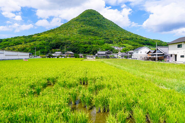 青空に映える讃岐富士こと飯野山（香川県丸亀市・坂出市）