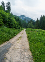 Ludrovska dolina valley in Low Tatras mountains in Slovakia © honza28683