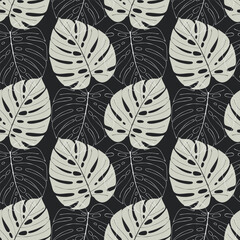 Monstera leaf pattern, white contour leaves and silhouette gray leaves monstera on dark background.