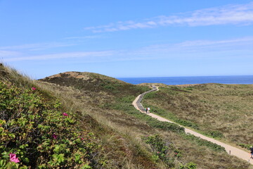 Blick auf die Küstenlandschaft bei Kampen auf der Nordfriesischen Insel Sylt	