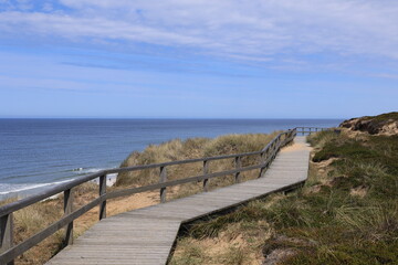 Blick auf die Küstenlandschaft bei Kampen auf der Nordfriesischen Insel Sylt	