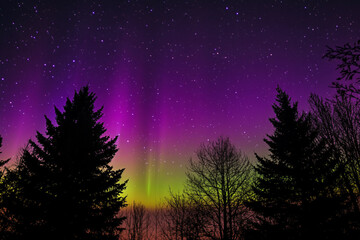 Fototapeta premium Majestic Northern Lights Over Snowy Forest Lake Landscape at Night Generative AI Image