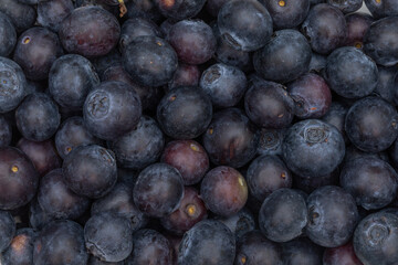 Blueberries Background Texture: Fresh Ripe Berries Closeup