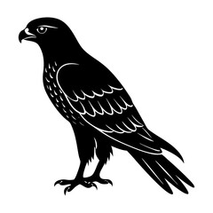 Hawk Silhouette vector illustration