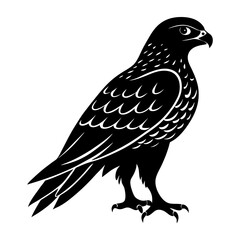 Hawk Silhouette vector illustration