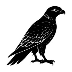 Hawk Silhouette vector illustration