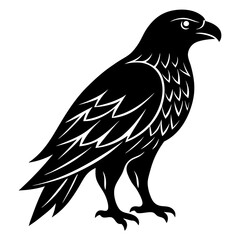 Hawk Silhouette vector illustration