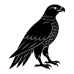 Hawk Silhouette vector illustration