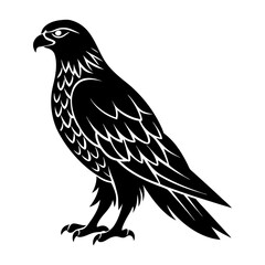 Hawk Silhouette vector illustration