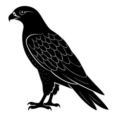 Hawk Silhouette vector illustration