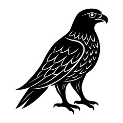 Hawk Silhouette vector illustration