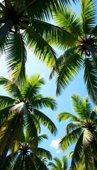 Obraz premium Towering palms and swaying fronds create a natural canopy, canopy, shade