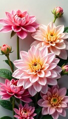 Dahlias with a whimsical, wildflower-inspired look, flowers, flowers arrangement