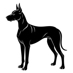 Great Dane Silhouette vector illustration