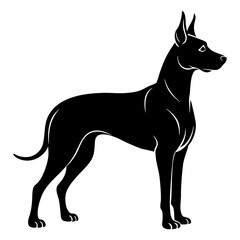 Great Dane Silhouette vector illustration