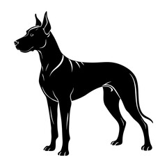 Great Dane Silhouette vector illustration