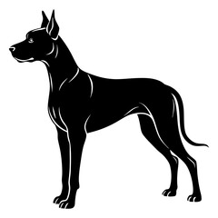 Great Dane Silhouette vector illustration