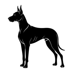 Great Dane Silhouette vector illustration