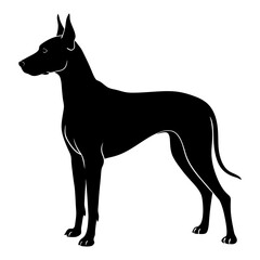 Great Dane Silhouette vector illustration