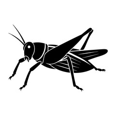 Grasshopper Silhouette vector illustration