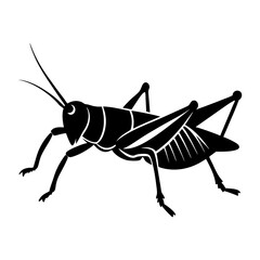 Grasshopper Silhouette vector illustration